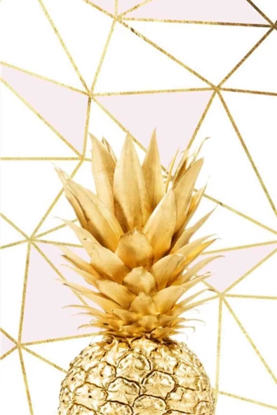 Altın Ananas Djt. 40x60 Banyo Paspası 0682 01