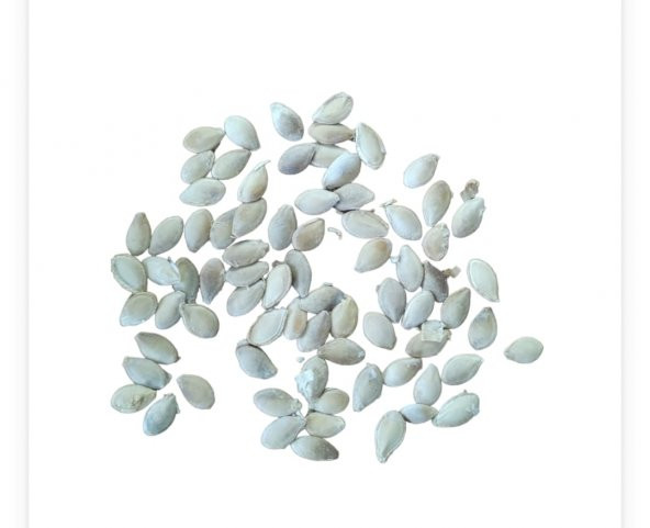 Sarı Yeşil Kabak Tohumu 50 adet Karışık paket - 2