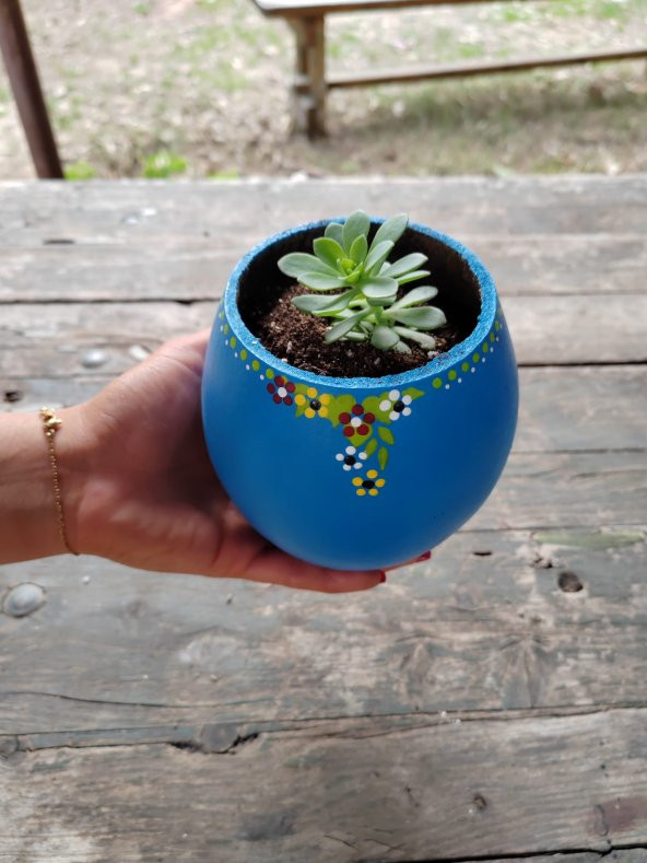 Dekoratif Çiçek Saksısı Mavi Renk Skulent ve Kaktüsler İçin Uygun - 2