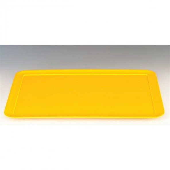 MELAMİN TEŞHİR  TEPSİ ürün görseli