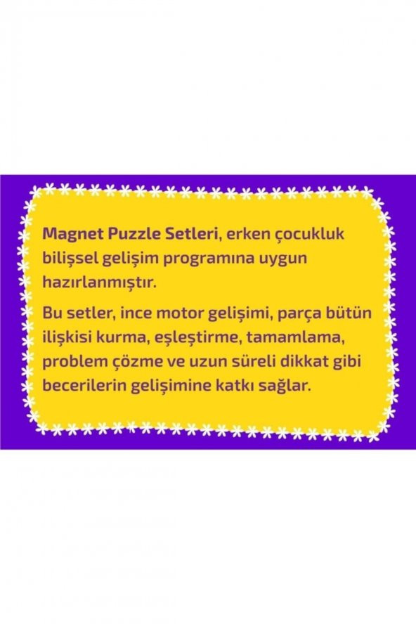 Magnet Puzzle Dikkat Geliştiren Zeka Oyunu - 4