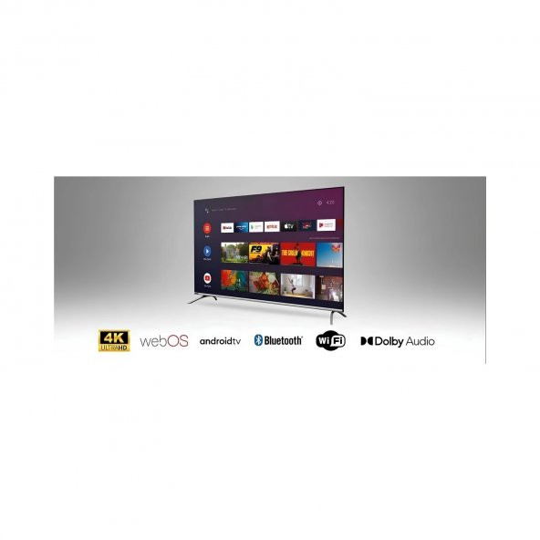 Saba SB43400 43'' 109 Ekran 1920X1080 Dahili Uydu Alıcılı Full Hd Smart Webos LED Tv