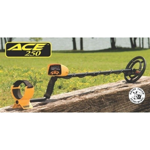 Garrett ACE 250 - 8