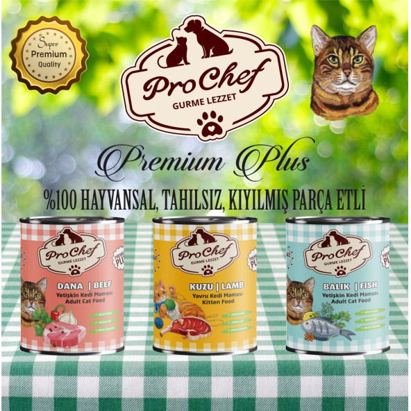 Prochef 24 Adet Premium Plus Yavru Kedi Maması ( 415 Gr Kuzu Etli Konserve Yaş Mama ) - 3