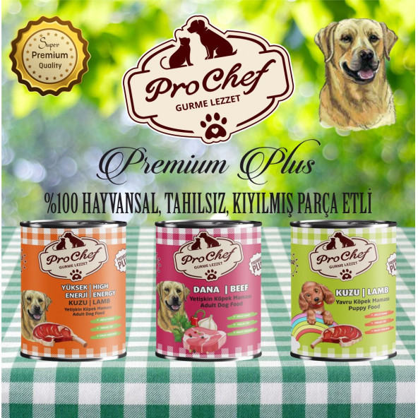 Prochef 24 Adet Premium Plus Yavru Kedi Maması ( 415 Gr Kuzu Etli Konserve Yaş Mama ) - 4