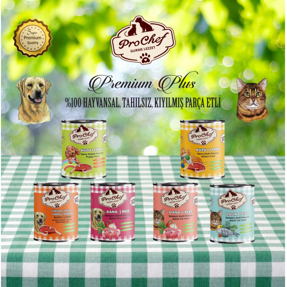 Prochef 24 Adet Premium Plus Yavru Kedi Maması ( 415 Gr Kuzu Etli Konserve Yaş Mama ) - 5