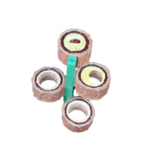 Damar Maketi Model 45 - 2