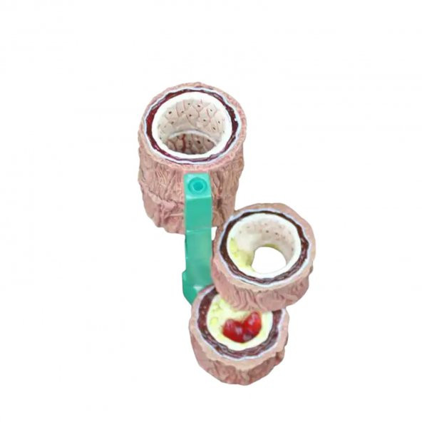 Damar Maketi Model 45 - 3