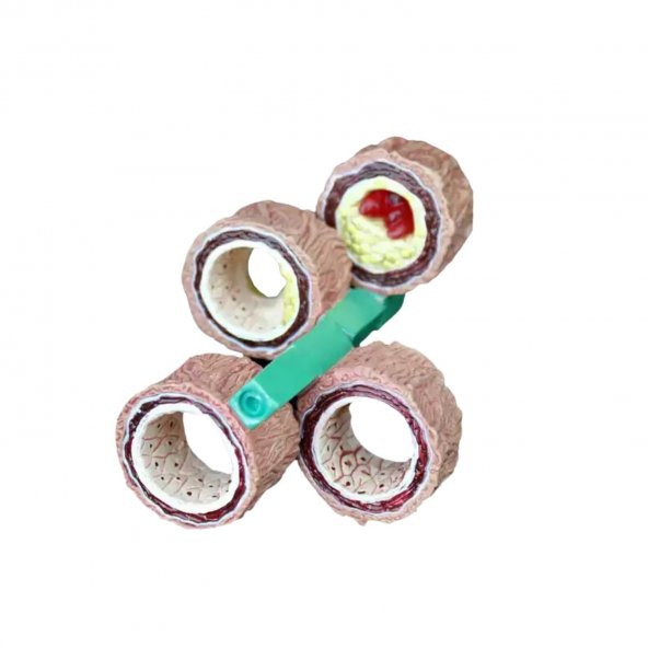 Damar Maketi Model 45 - 4