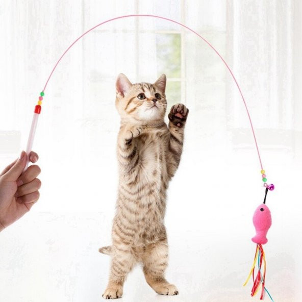 3B Trend Esnek Kedi Oyuncağı Evcil Hayvan Oyun Oltası 90 cm - 2