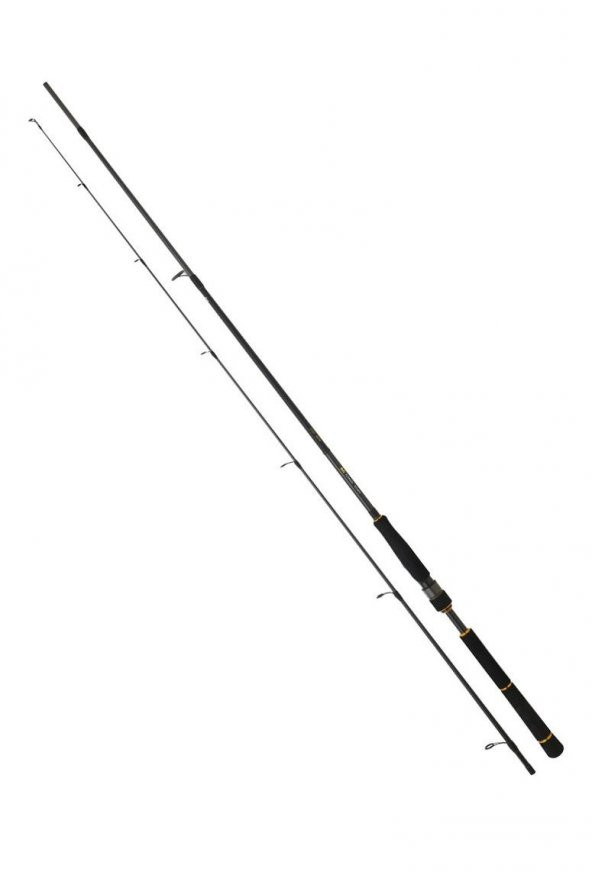 Daiwa New Bg Seabass 2.44m 7-28gr 2p Spin Olta Kamışı