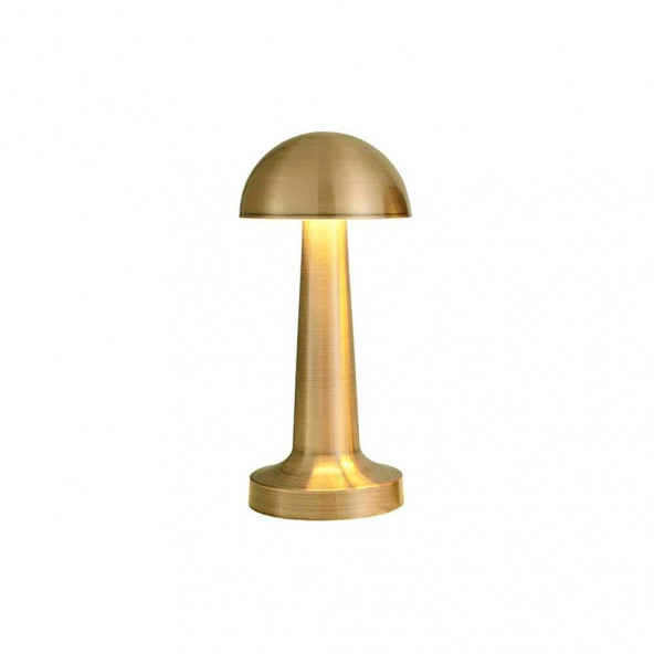 Seyhan Dekoratif Şarjlı Led Masa Lambası FL-8055 - 5