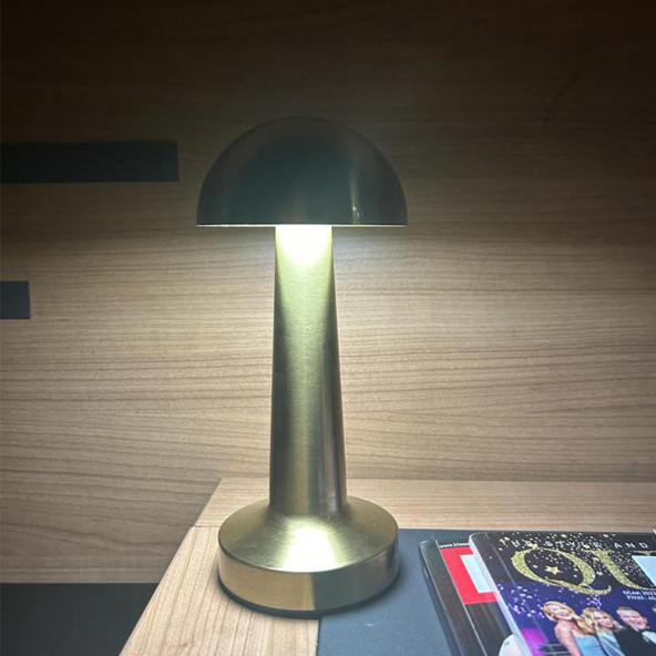 Seyhan Dekoratif Şarjlı Led Masa Lambası FL-8055 - 6