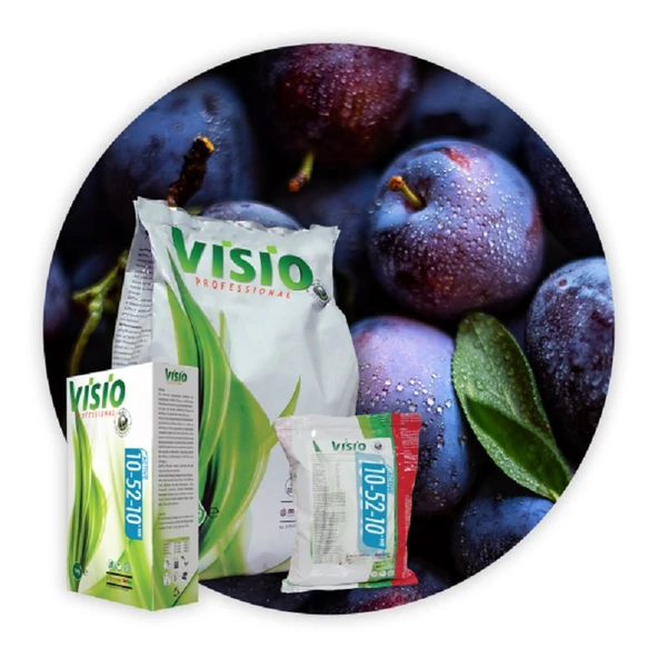 PTTAVM: Visio Professional 10-52-10 1 kg Toz Gübre