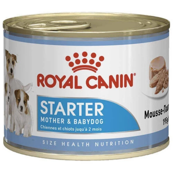 Royal Canin Starter Yavru Köpek Konservesi 195Gr