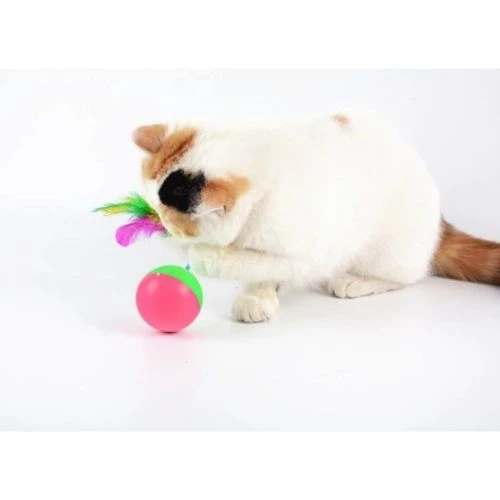 Kedi Fare Hacıyatmaz Oyunu - 2