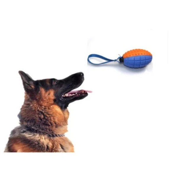 Köpek Diş Kaşıma Oyun Topu - 2