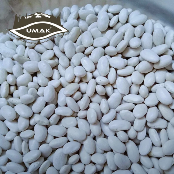 YENİ MAHSÜL DERMASON KURU FASULYE - 2