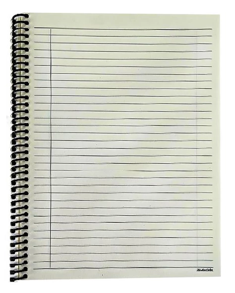 Hisli Şeyler 18,5x25 Spiralli Çizgili Defter Life Is Şort - 2