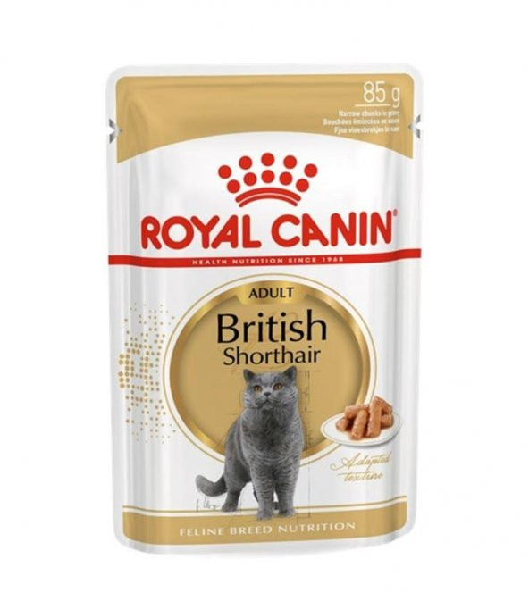 Royal Canin British Shorthair Yetişkin Kedi Yaş Maması 85 Gr X 12 Adet