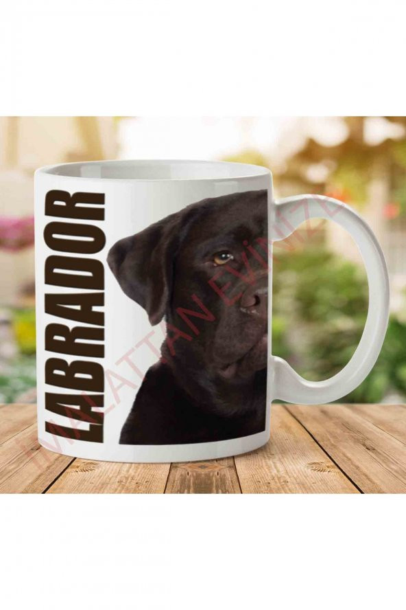1-1117 Labrador Köpek İki Tarafı Baskılı Kupa Bardak