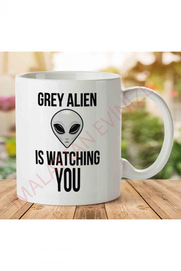1-1421 Grey Alien ıs Watching You İki Tarafı Baskılı Kupa Bardak