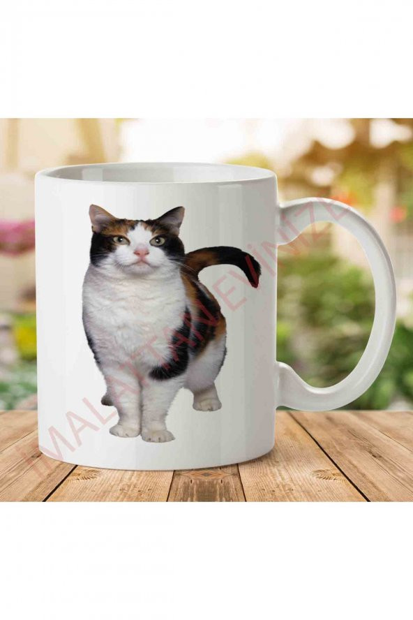 1-2322 Kedi İki Tarafı Baskılı Kupa Bardak