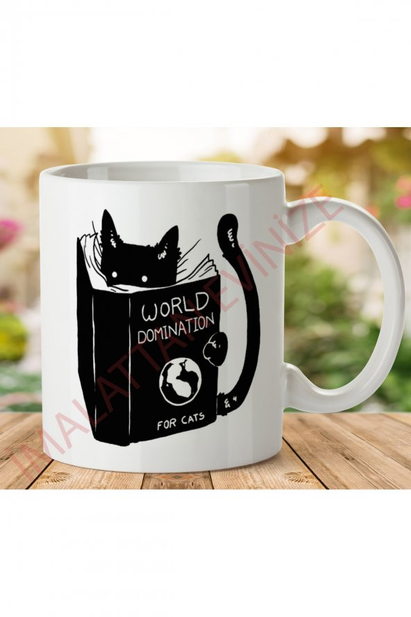 1-581 WORLD DOMINATION FOR CATS İki Tarafı Baskılı Kupa Bardak