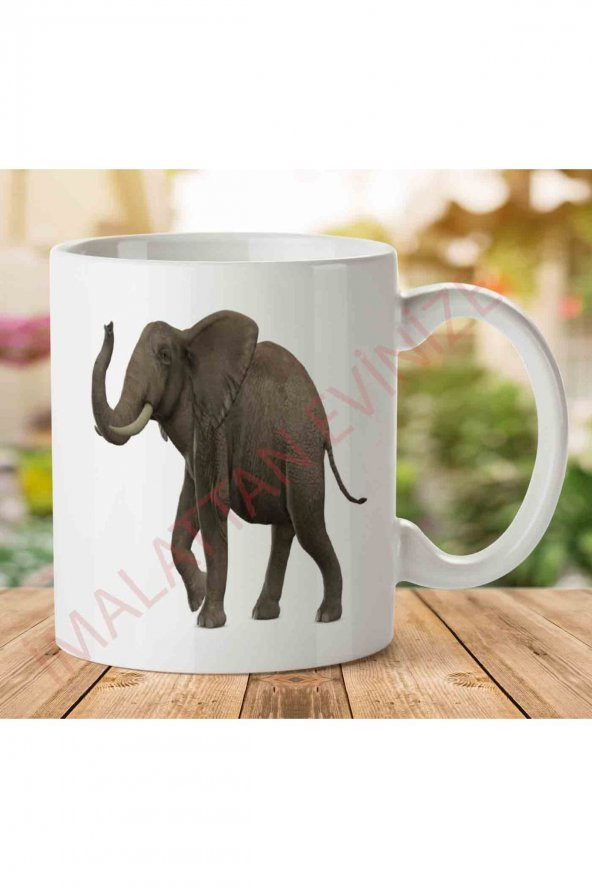 A2381 Elephant (Fil) İki Tarafı Baskılı Kupa Bardak