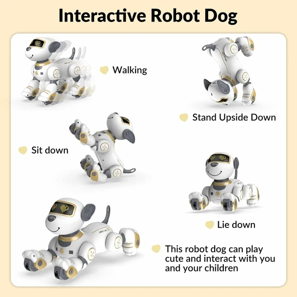 STEMTRON Programlanabilir Uzaktan Kumandalı Robot Köpek - Altın - 2