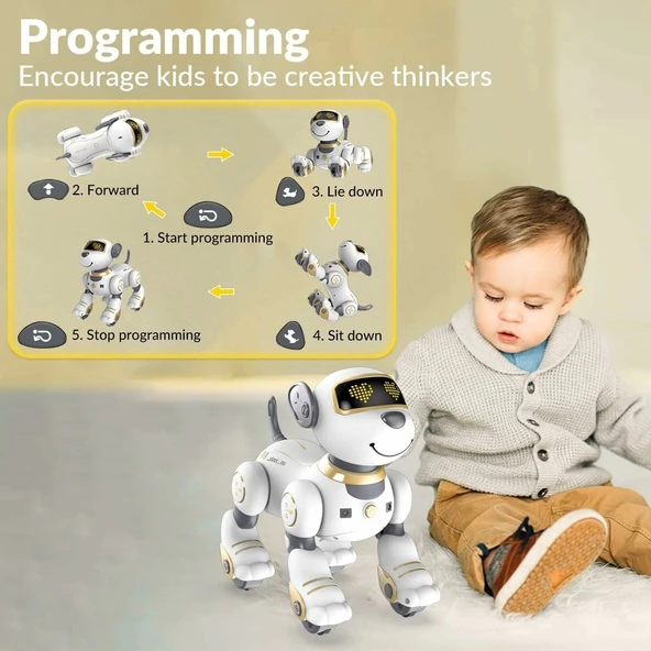 STEMTRON Programlanabilir Uzaktan Kumandalı Robot Köpek - Altın - 3