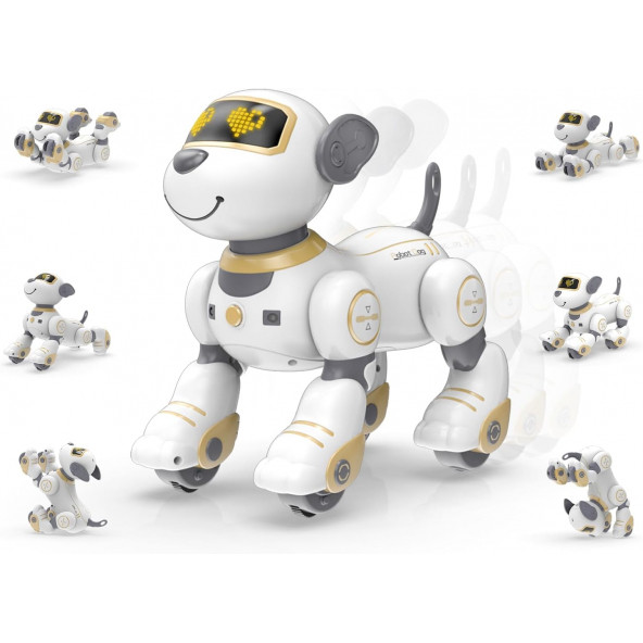 STEMTRON Programlanabilir Uzaktan Kumandalı Robot Köpek - Altın