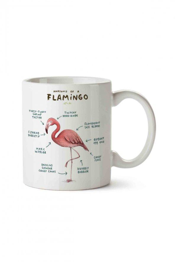 Flamingo Anatomisi Flamingo Anatomy İki Tarafı Baskılı Kupa Bardak