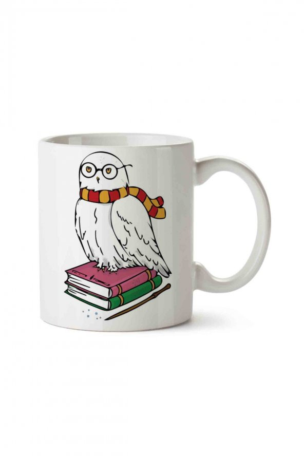 Harry Potter Hedwig Baykuş Kitap İki Tarafı Baskılı Kupa Bardak
