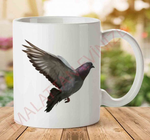 Pigeon-Free-Download-PNG İki Tarafı Baskılı Kupa Bardak - 1