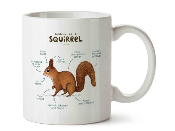 Sincap Anatomisi Squirrel Anatomy İki Tarafı Baskılı Kupa Bardak