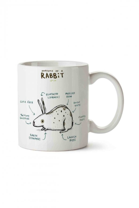 Tavşan Anatomisi Anatomy Of a Rabbit İki Tarafı Baskılı Kupa Bardak