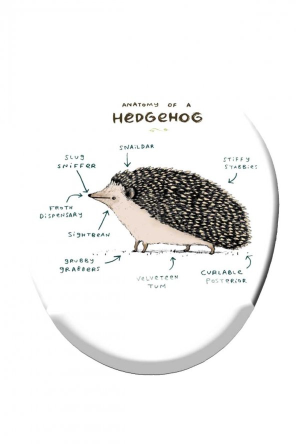 Kirpi Anatomisi Baskılı Bilek Destekli Mouse Pad Mousepad