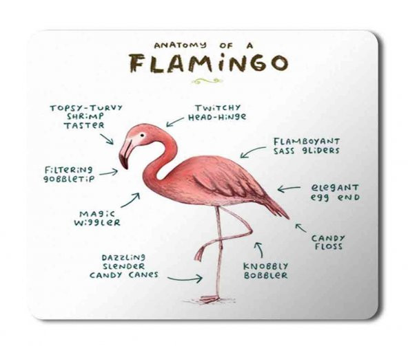 Flamingo Anatomisi Flamingo Anatomy Baskılı Mouse Pad Mousepad