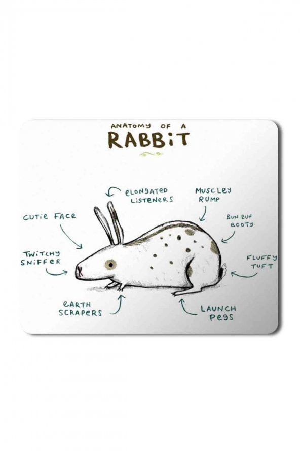 Tavşan Anatomisi Anatomy Of a Rabbit Baskılı Mouse Pad Mousepad