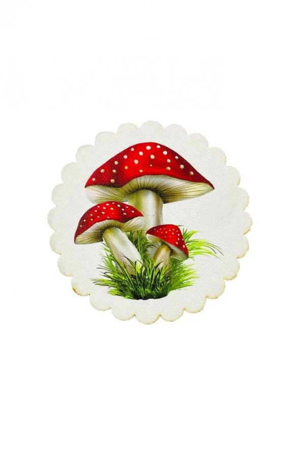 6lı Ahşap Mantar Desenli 9.5cm Kaydırmaz 5mm Bardak Sunum Altlığı - 2