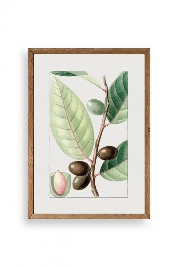 Enk Wall Art Zeytin Dalı Ahşap Çerçeveli Tablo