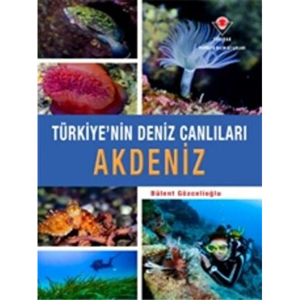 Türkiye'nin Deniz Canlıları Akdeniz