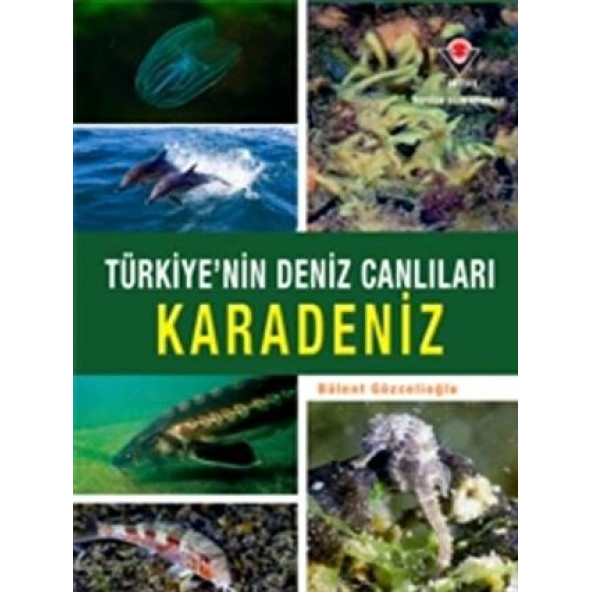 Türkiye'nin Deniz Canlıları Karadeniz