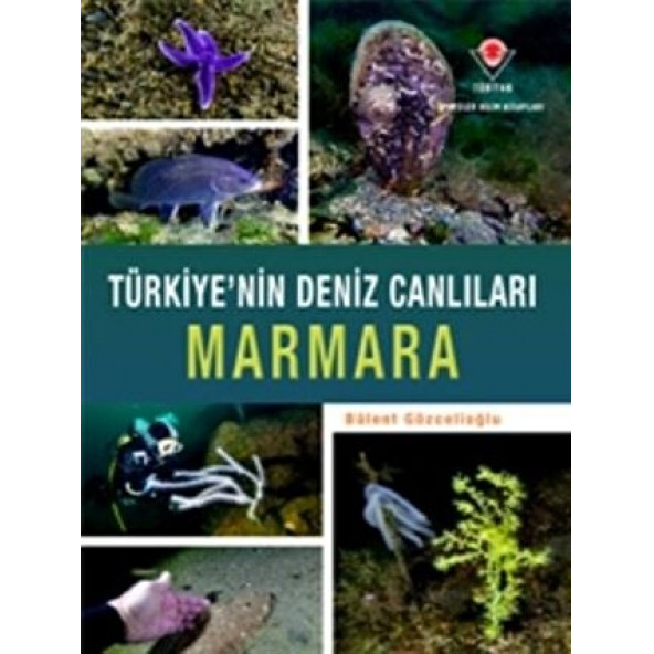 Türkiye'nin Deniz Canlıları Marmara