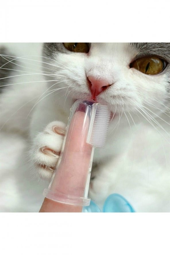 Kedi Ve Köpek Parmak Diş Fırçası Saklama Kutulu Kolay Kullanımlı Evcil Hayvan Diş Bakım Fırçası