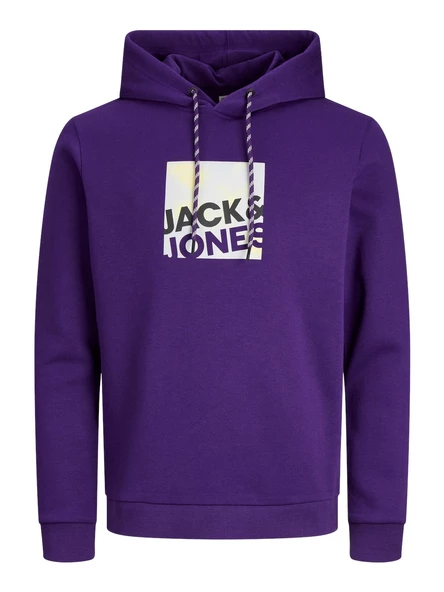 JACK JONES Baskılı Erkek Kapüşonlu Sweatshirt 12246994 - Resim 7