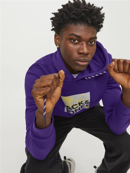 JACK JONES Baskılı Erkek Kapüşonlu Sweatshirt 12246994 - Resim 6