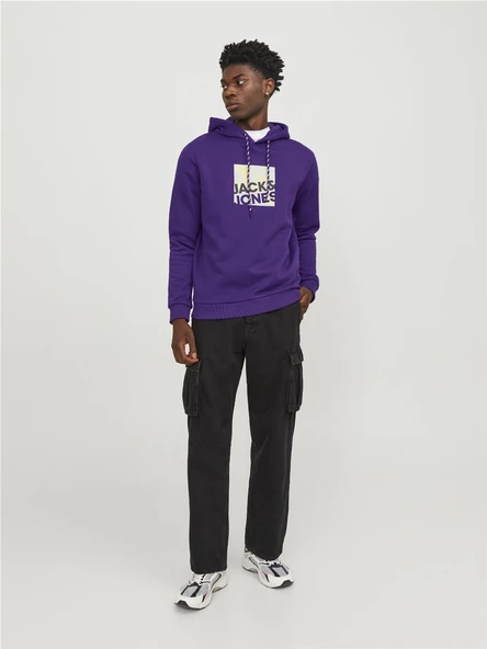 JACK JONES Baskılı Erkek Kapüşonlu Sweatshirt 12246994 - Resim 3