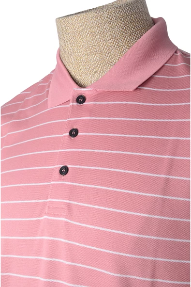 Cengiz İnler Polo Yaka Erkek T-shirt